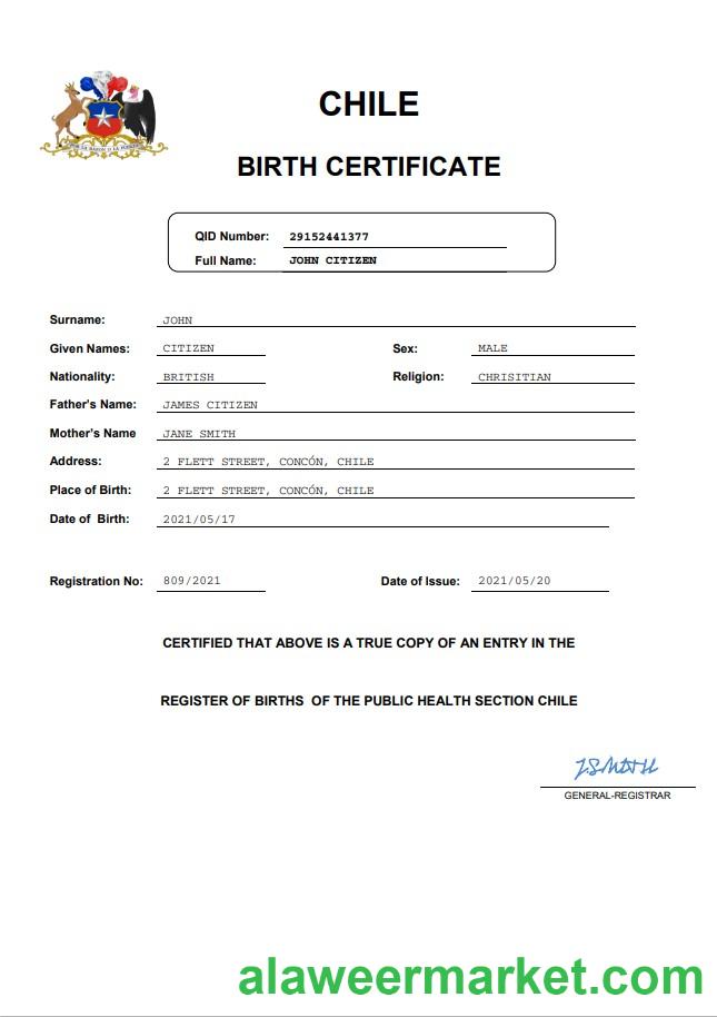 Chile vital record birth certificate Word and PDF template